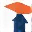 Icon representing a graduate student